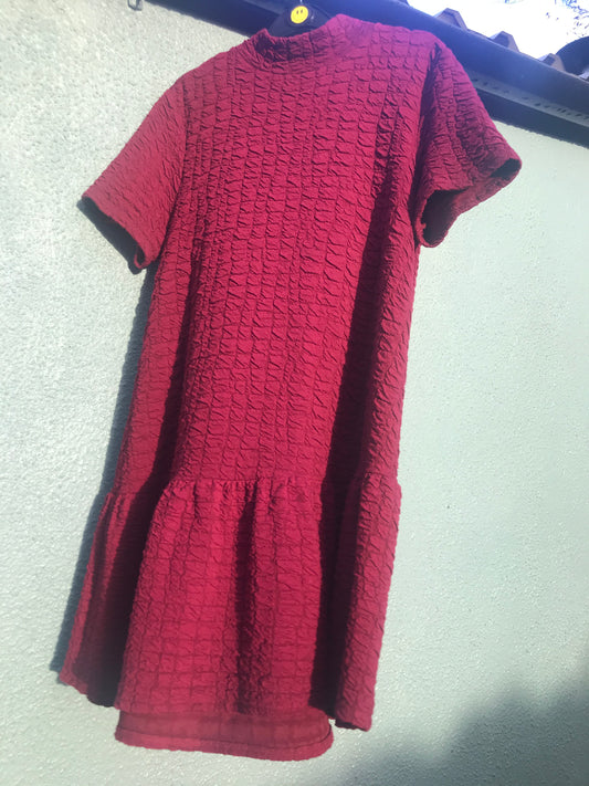 Winter Berry Dress